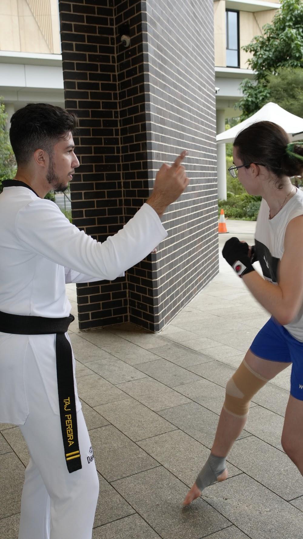 TDog Taekwondo coaching G811