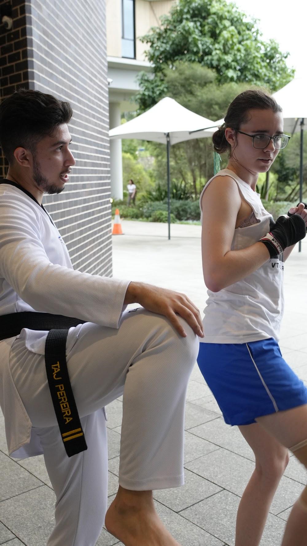 TDog Taekwondo coaching G812