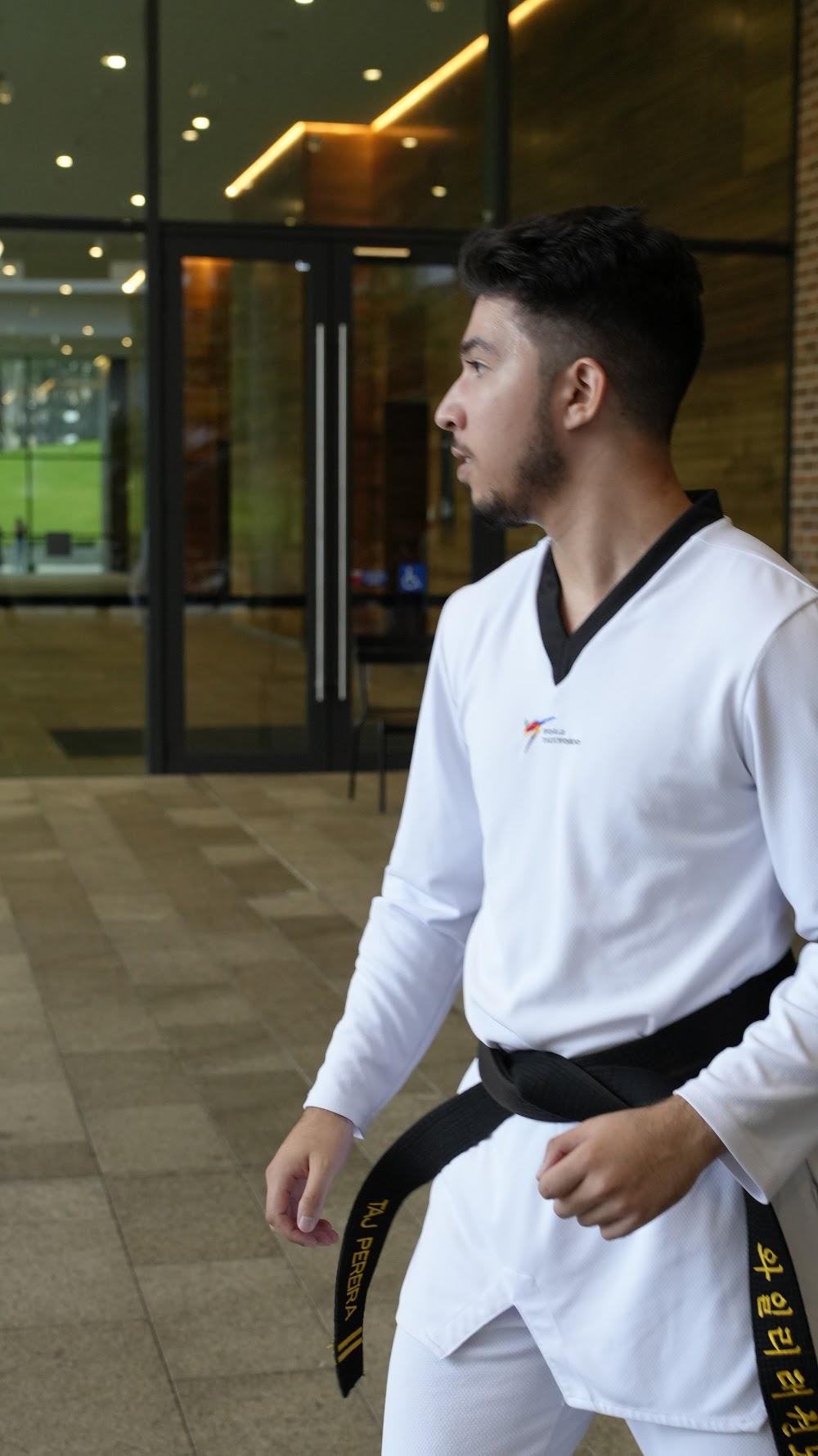 TDog Taekwondo coaching G816
