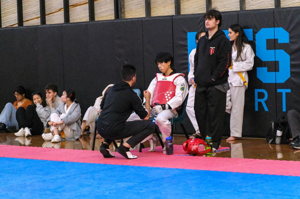 TDog Taekwondo coaching G83