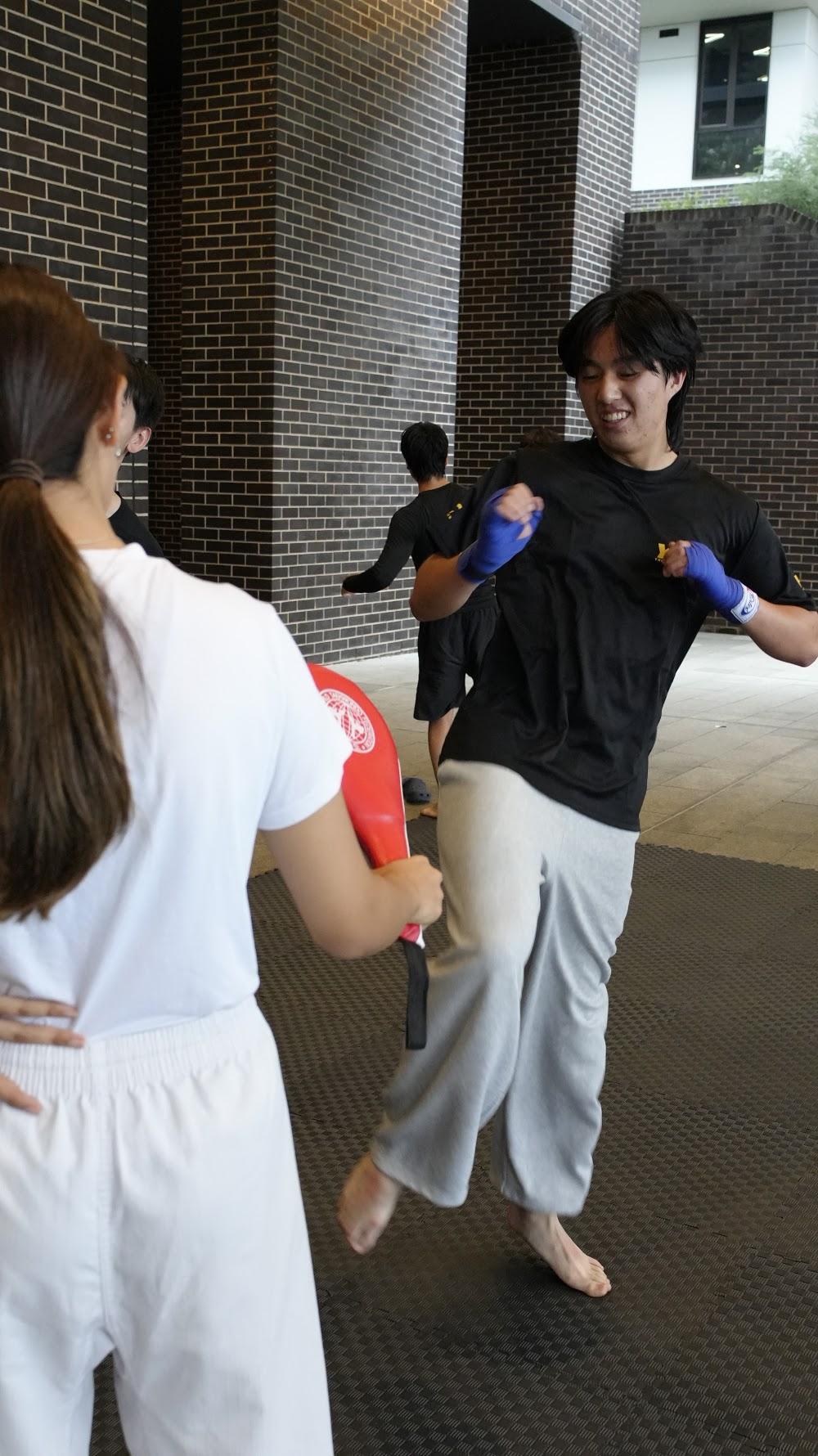 TDog Taekwondo training G840