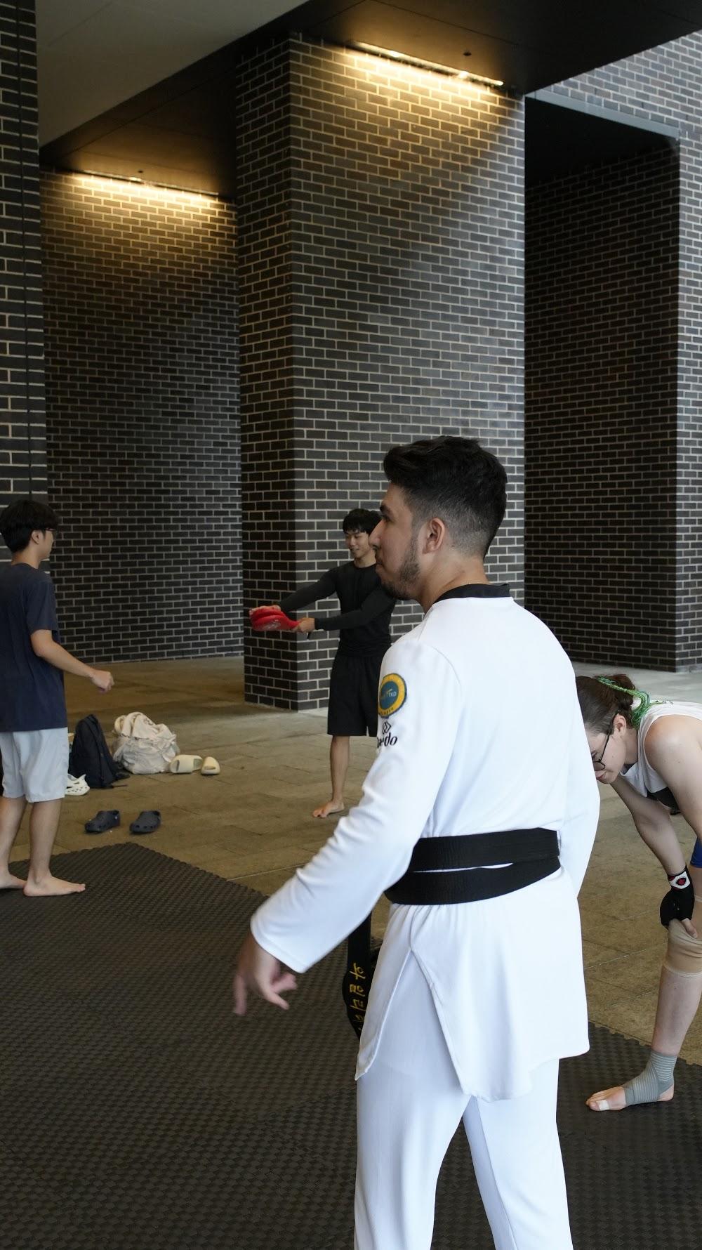 TDog Taekwondo training G844
