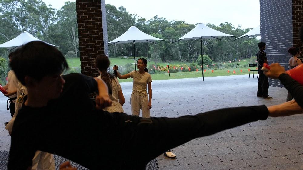TDog Taekwondo training G847
