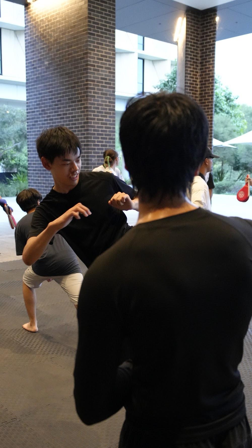 TDog Taekwondo training G849
