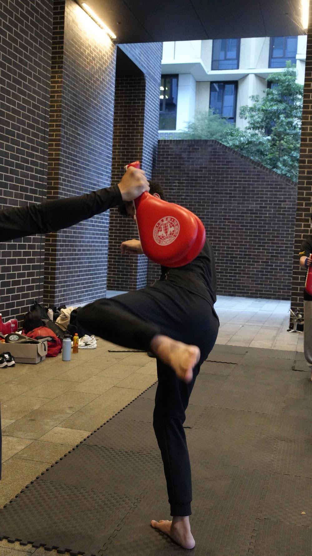 TDog Taekwondo training G850