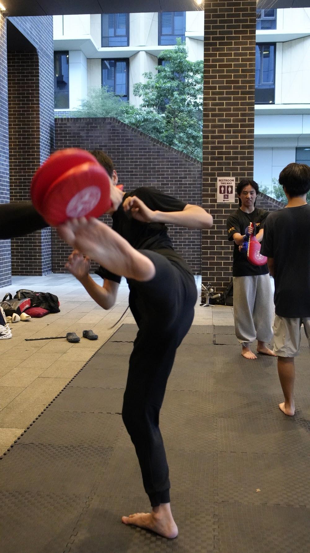 TDog Taekwondo training G851
