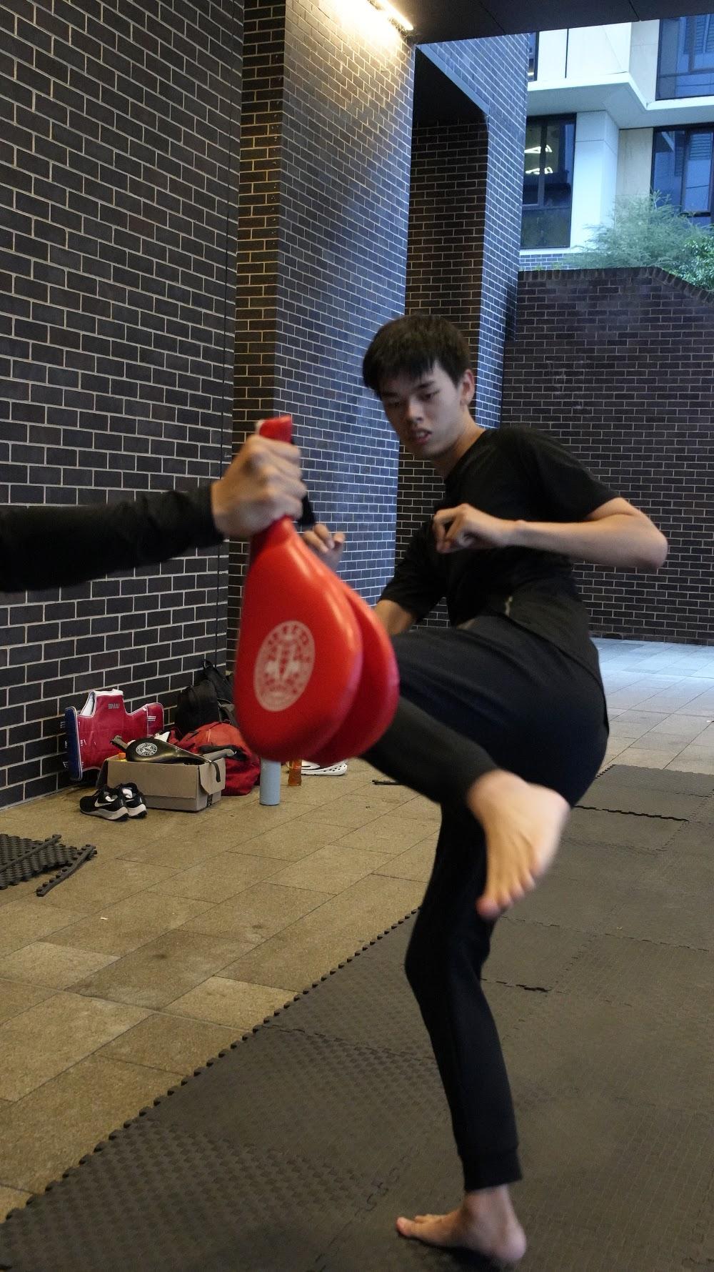 TDog Taekwondo training G852