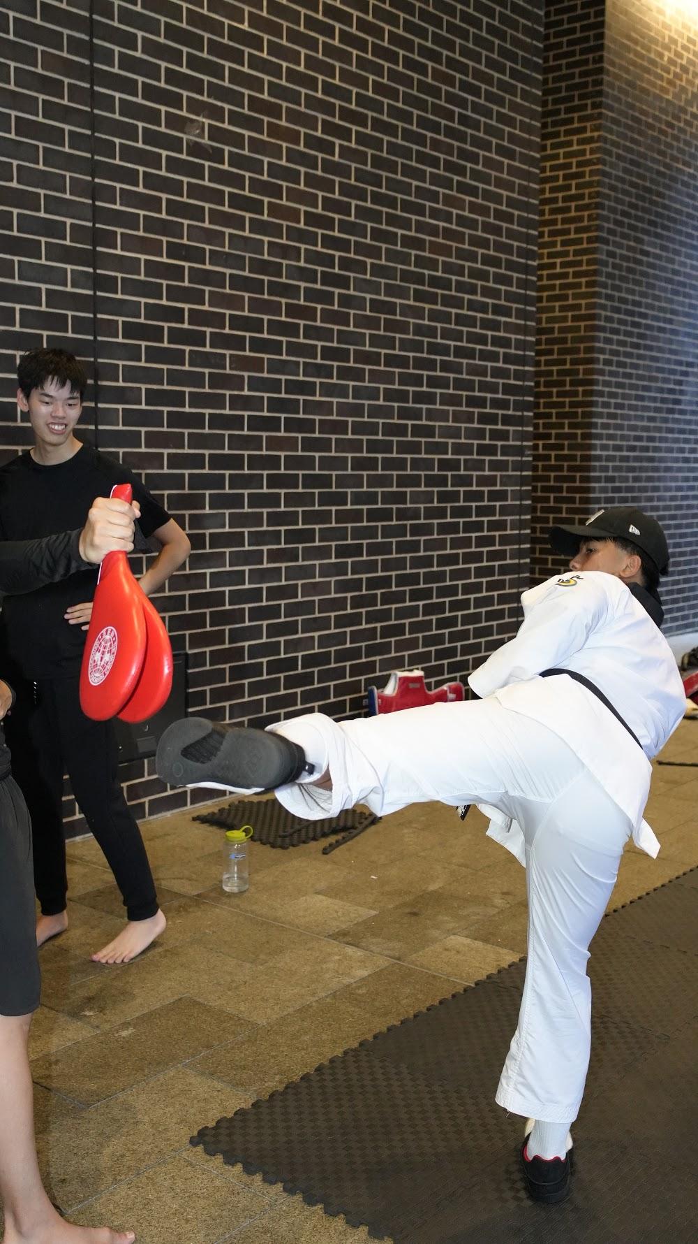 TDog Taekwondo coaching G853
