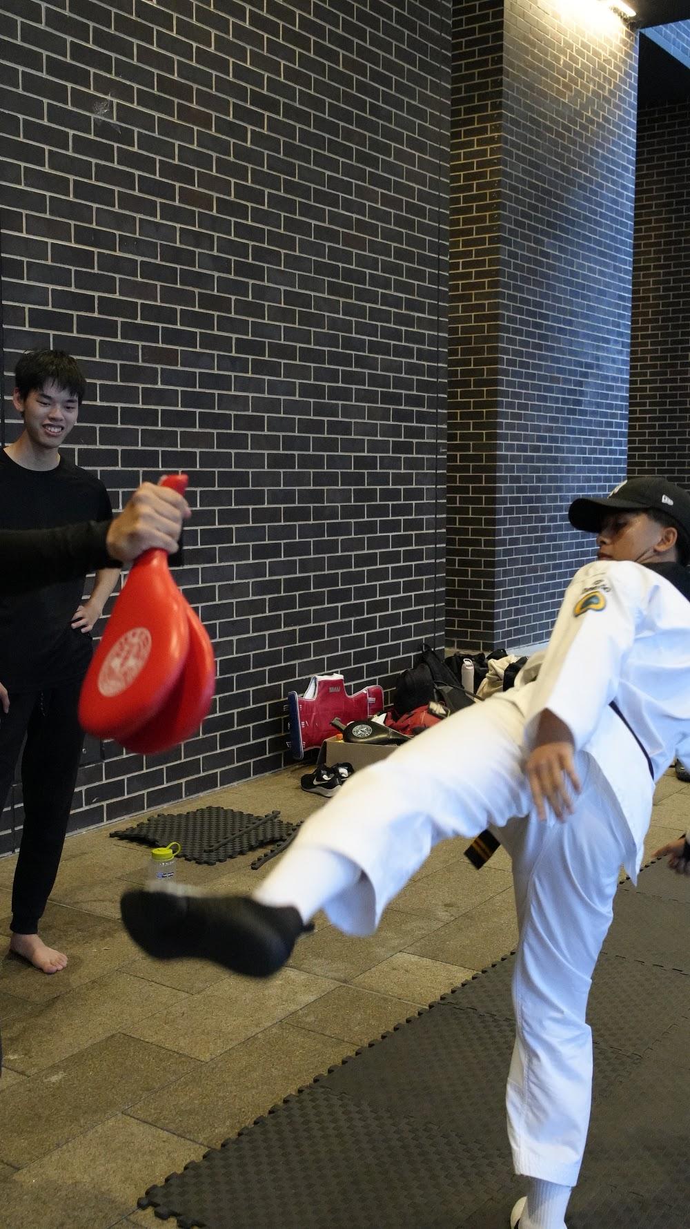 TDog Taekwondo coaching G855