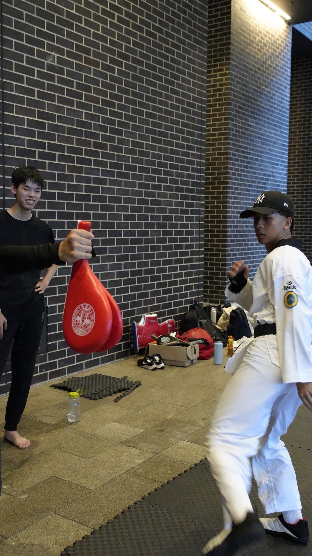TDog Taekwondo coaching G856