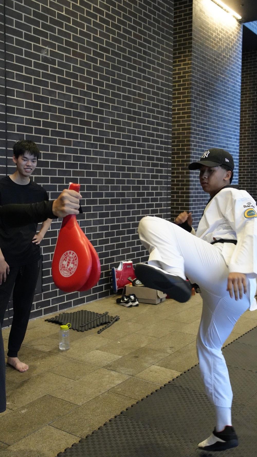 TDog Taekwondo coaching G857