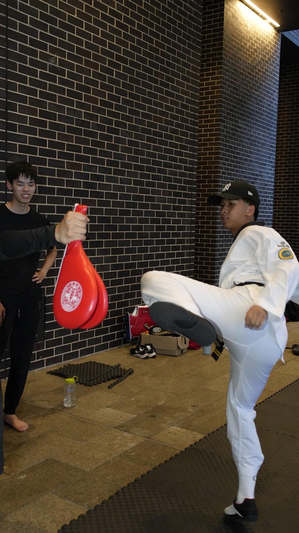TDog Taekwondo coaching G858