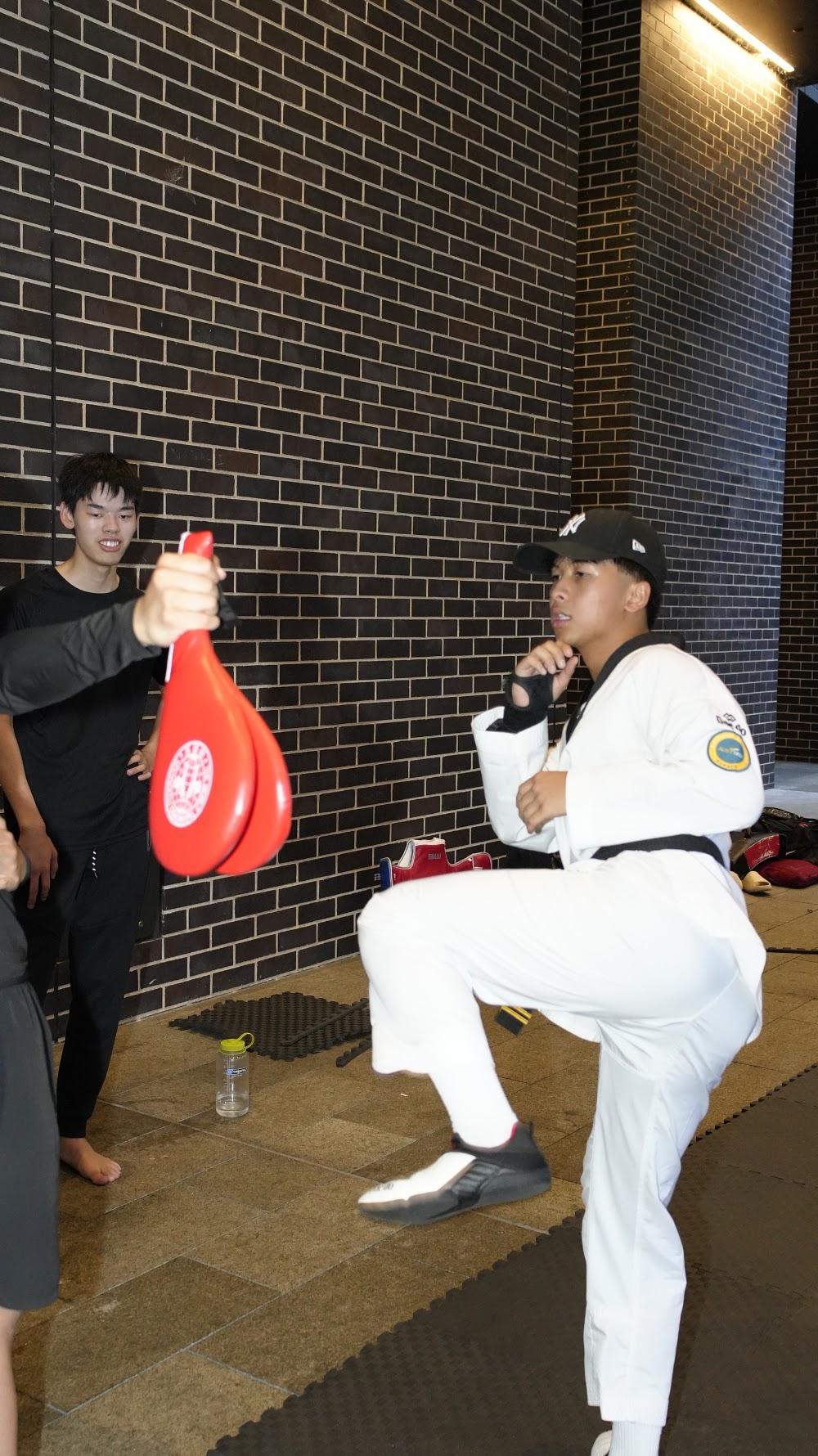 TDog Taekwondo coaching G859