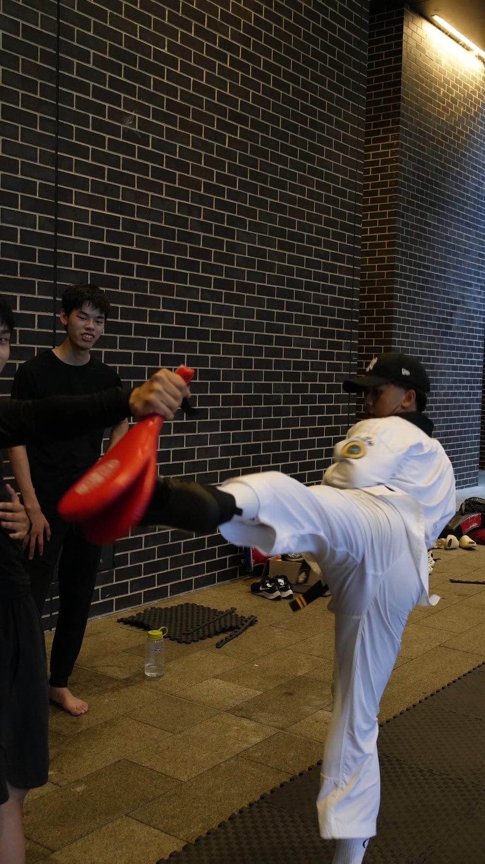 TDog Taekwondo coaching G860
