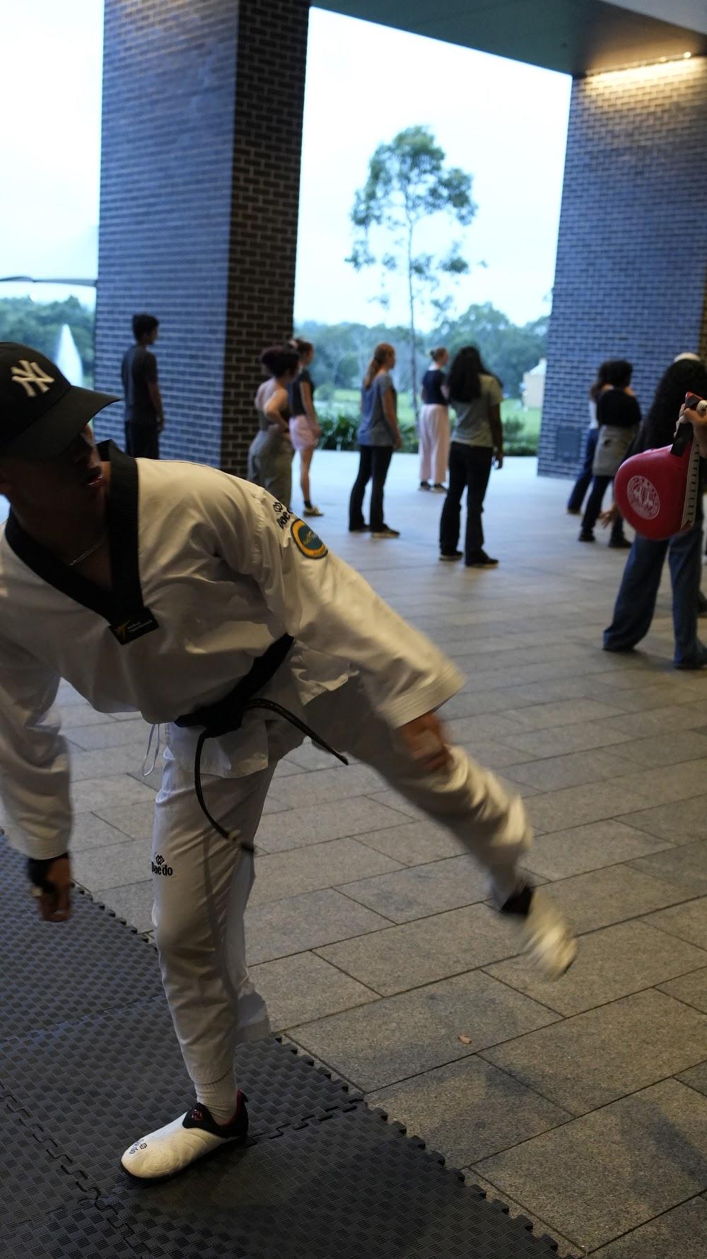 TDog Taekwondo coaching G862