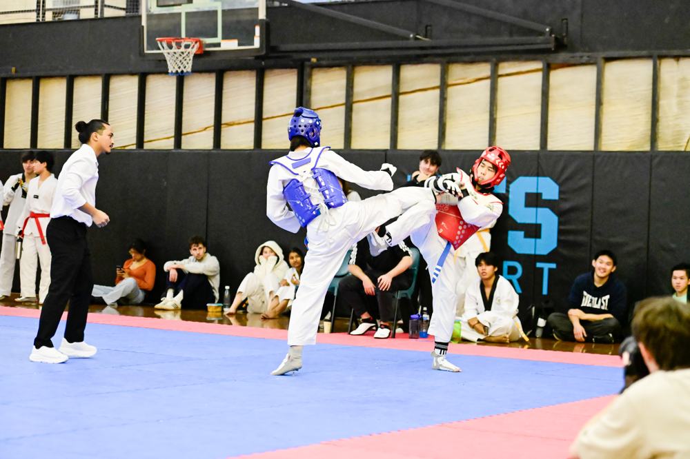 TDog Taekwondo competition G87