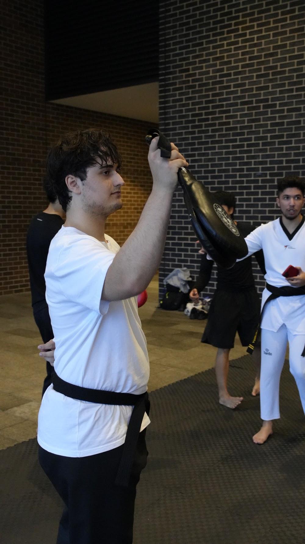 TDog Taekwondo coaching G871