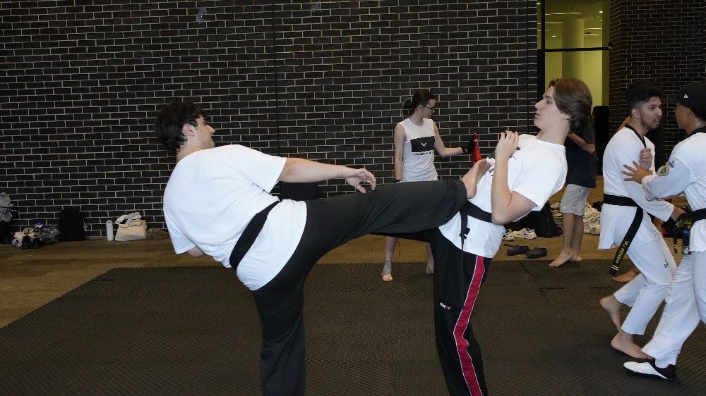 TDog Taekwondo training G873