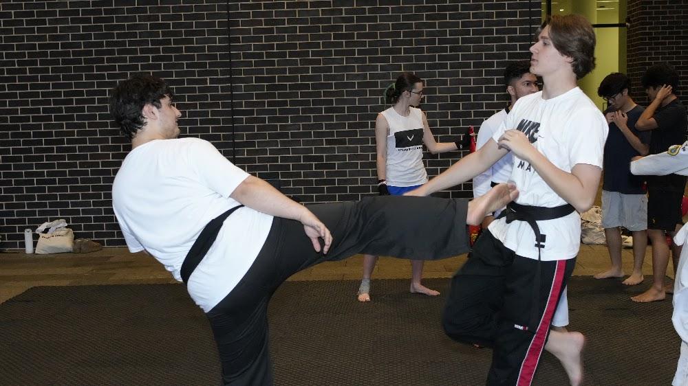 TDog Taekwondo coaching G874