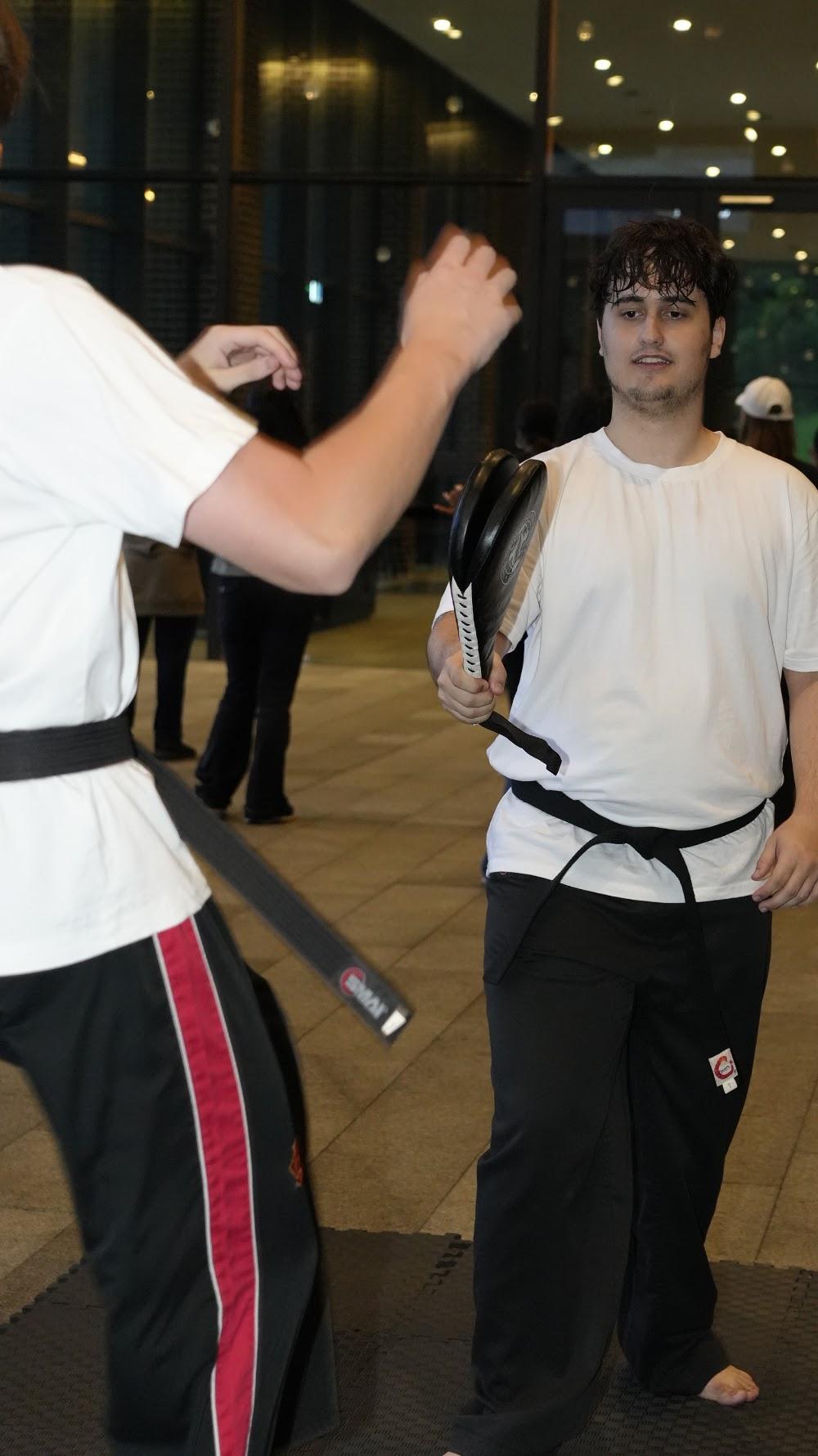 TDog Taekwondo training G883