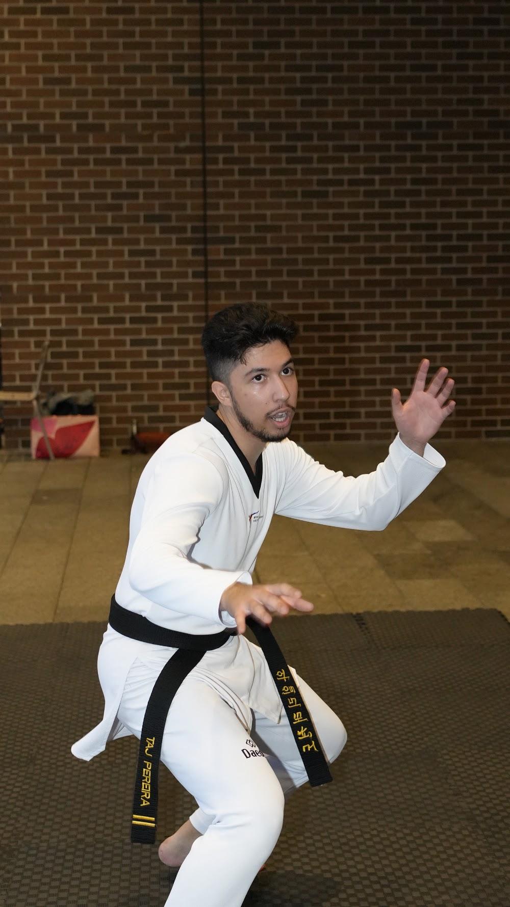 TDog Taekwondo coaching G884
