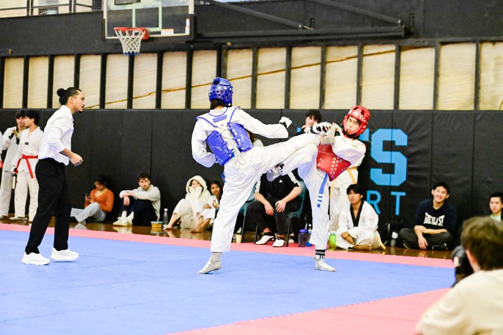 TDog Taekwondo competition G89