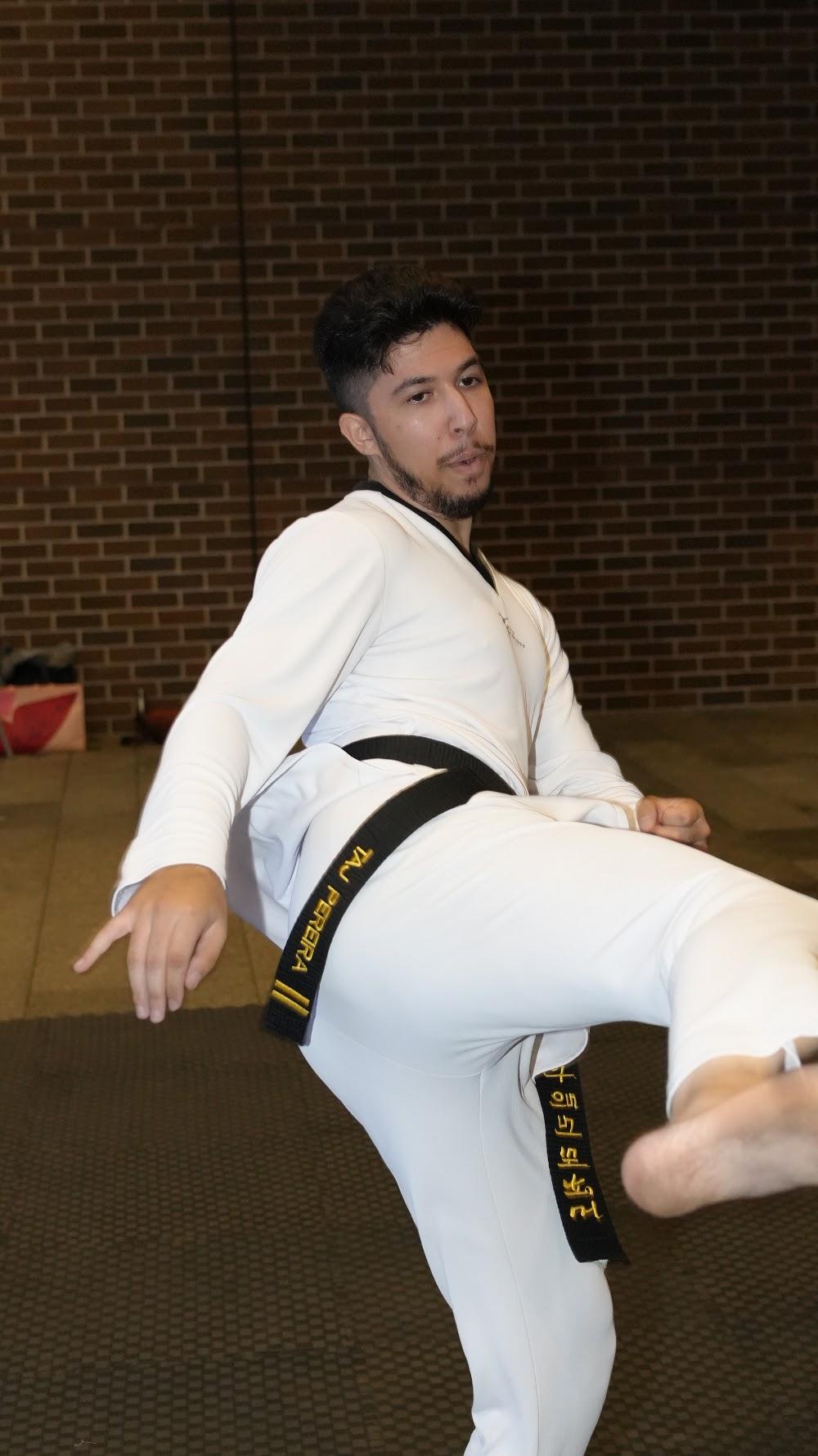 TDog Taekwondo coaching G890