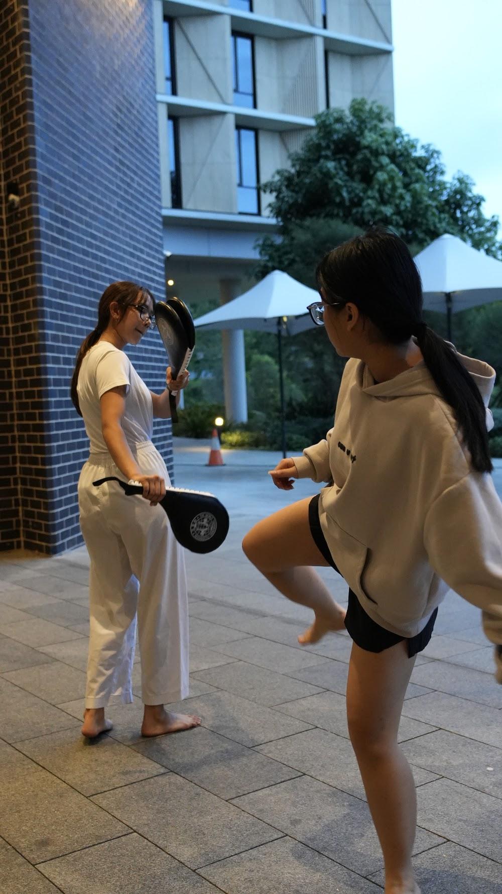 TDog Taekwondo training G896