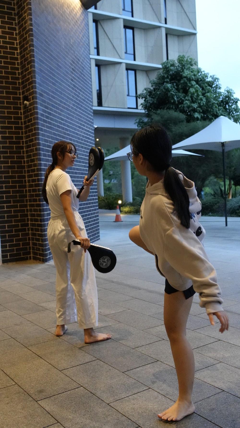 TDog Taekwondo training G897