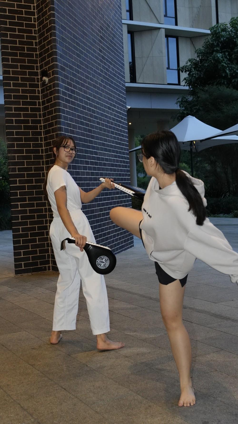 TDog Taekwondo training G898