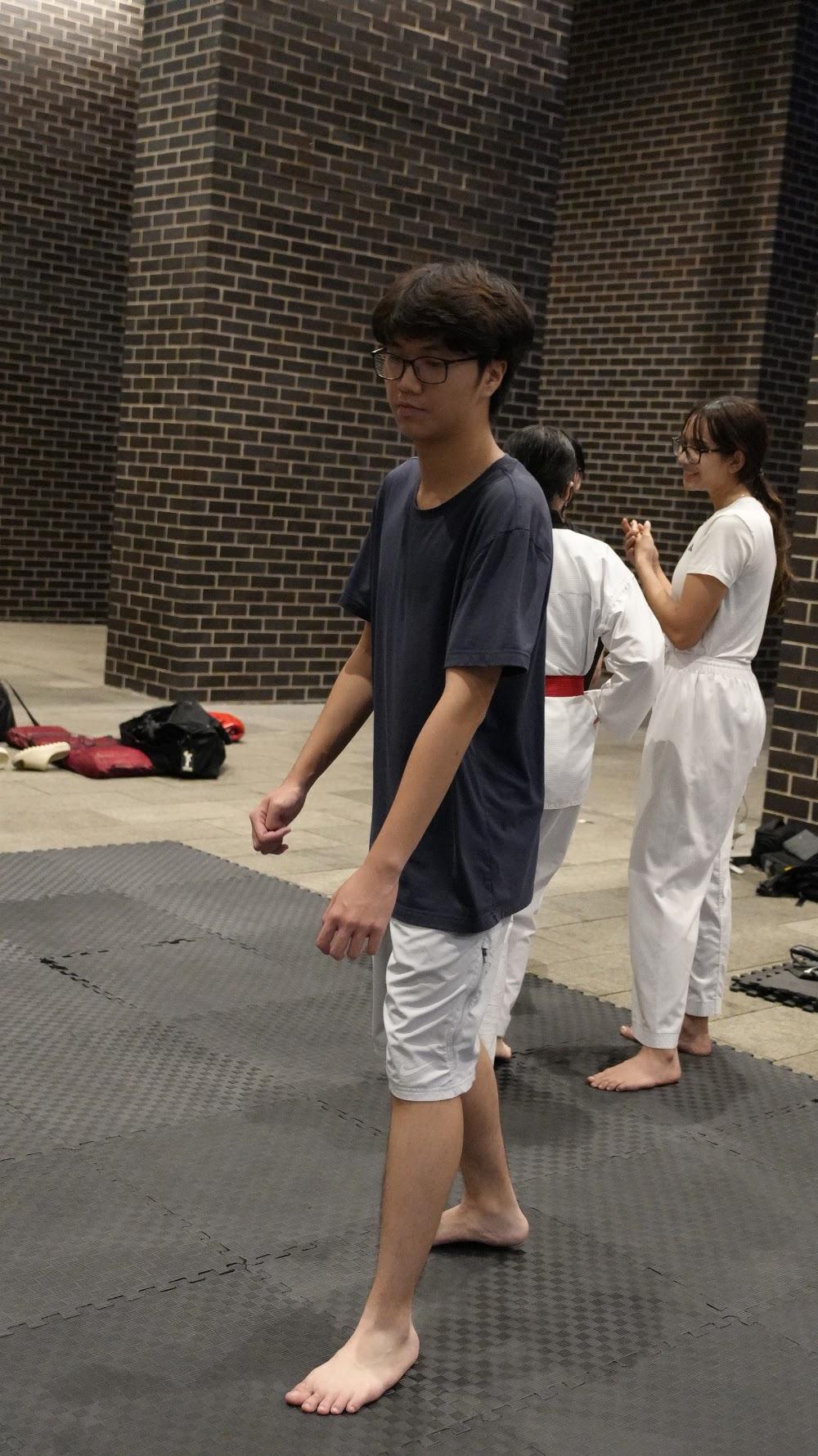 TDog Taekwondo training G906