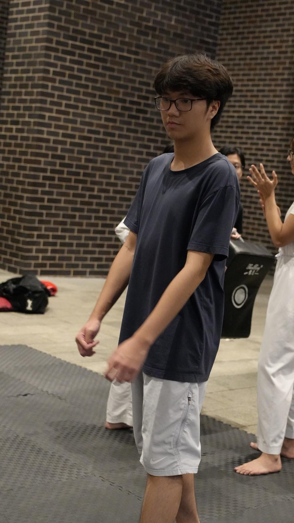 TDog Taekwondo training G907