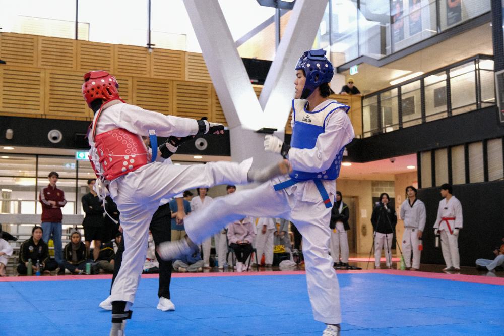 TDog Taekwondo competition G91