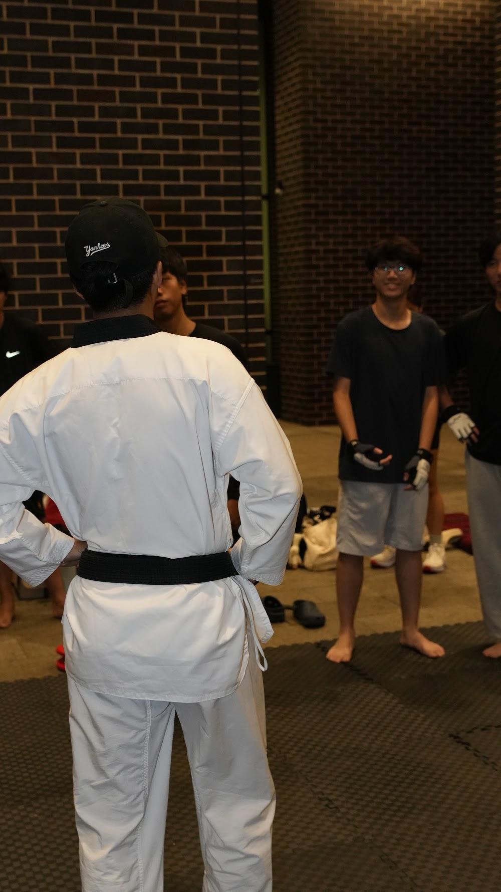 TDog Taekwondo coaching G921