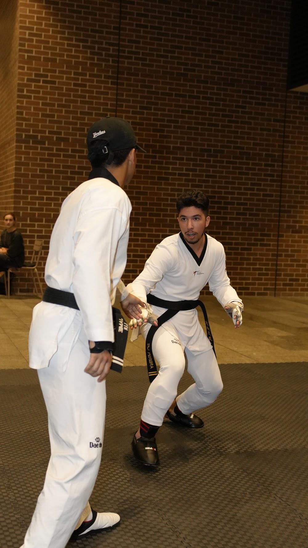 TDog Taekwondo coaching G923