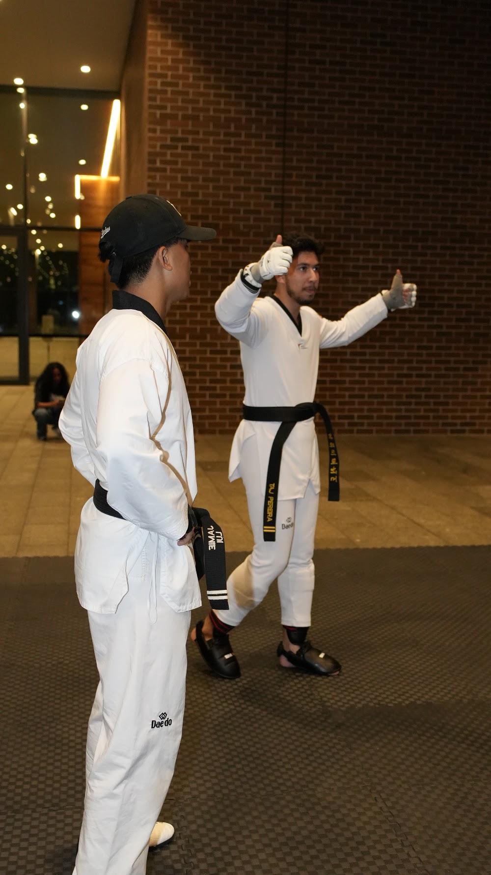 TDog Taekwondo coaching G924