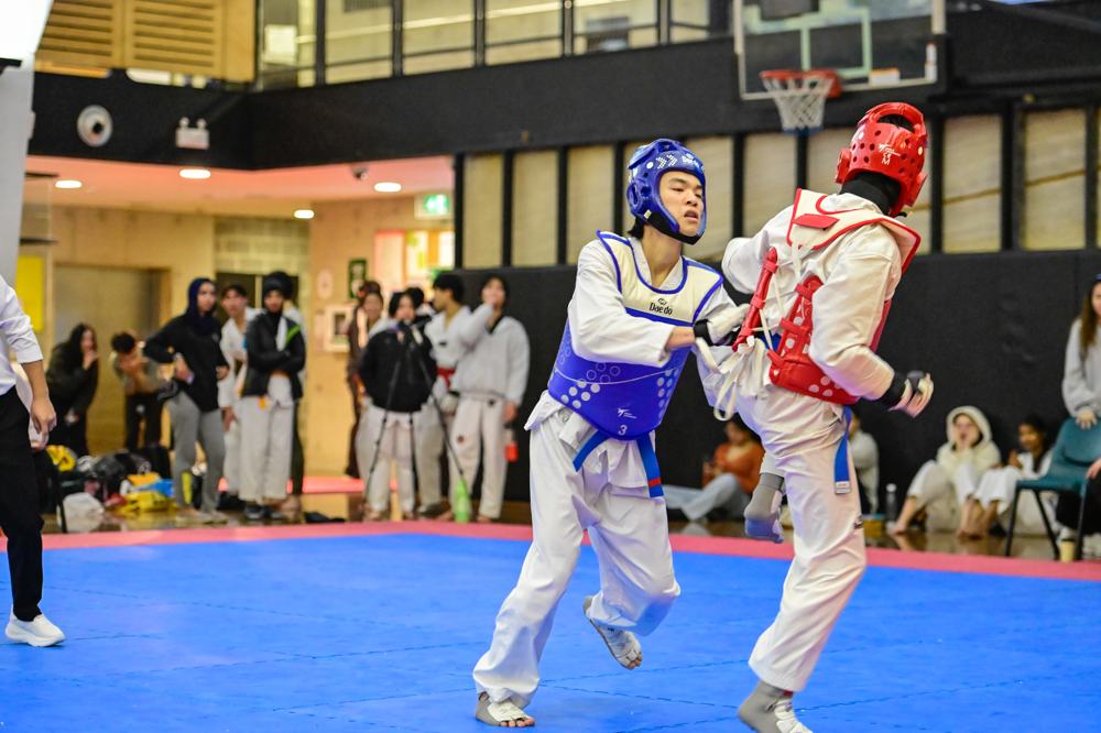 TDog Taekwondo competition G93