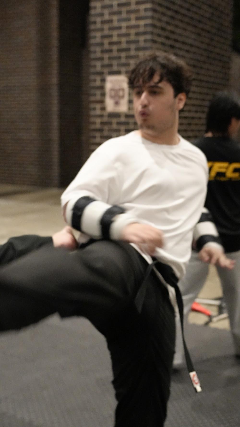 TDog Taekwondo training G933