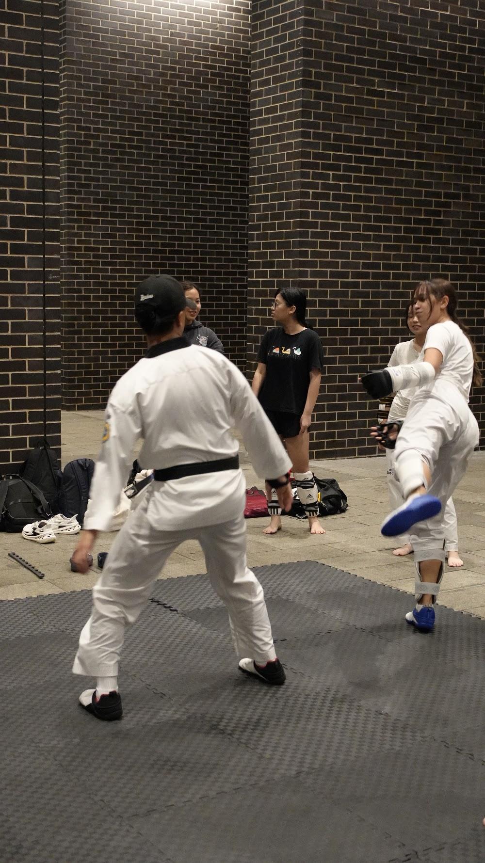 TDog Taekwondo coaching G935