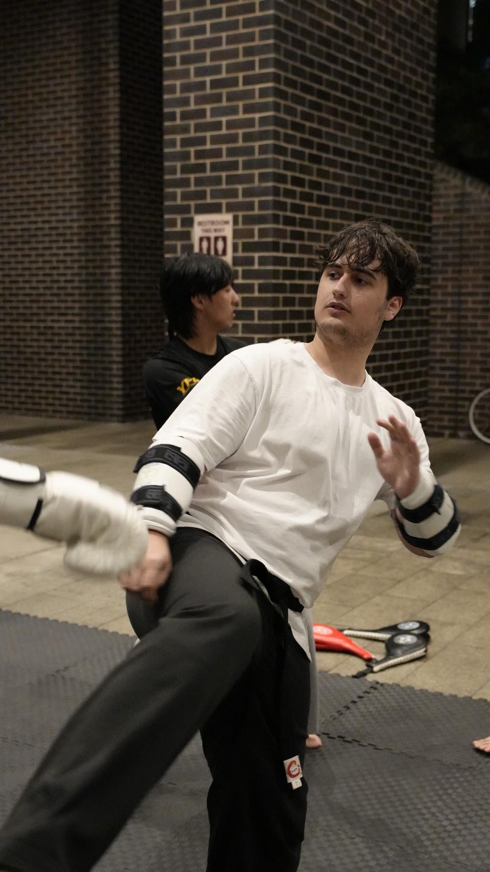 TDog Taekwondo training G937