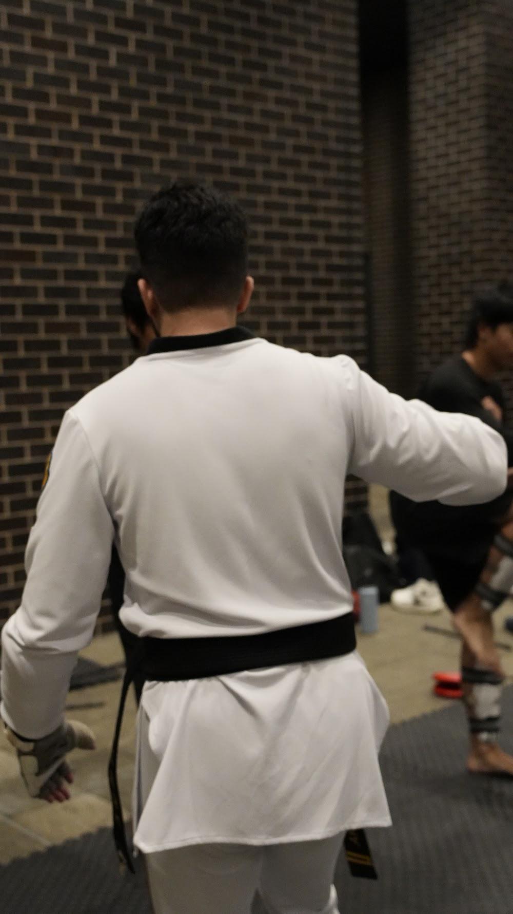 TDog Taekwondo coaching G940