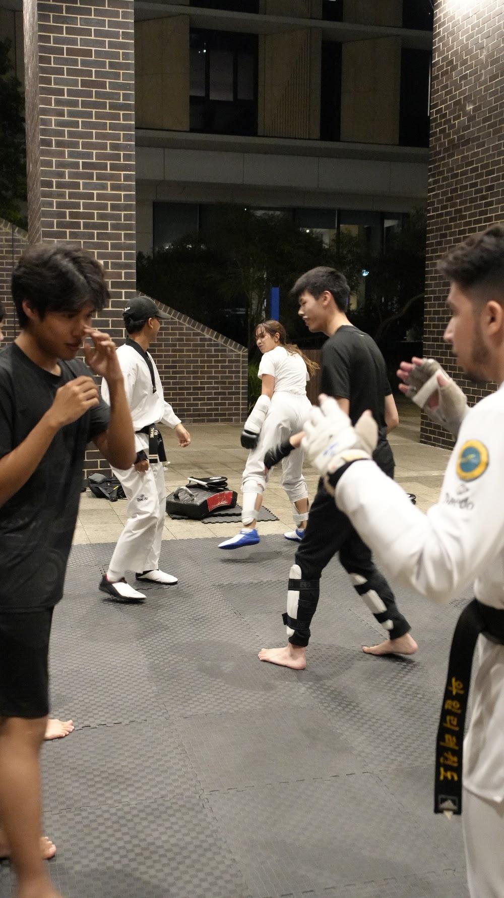 TDog Taekwondo coaching G941