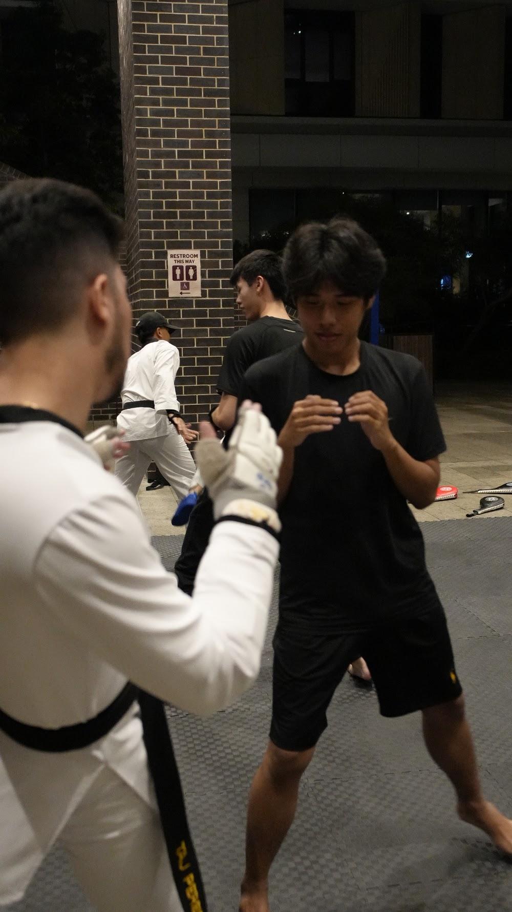 TDog Taekwondo coaching G942