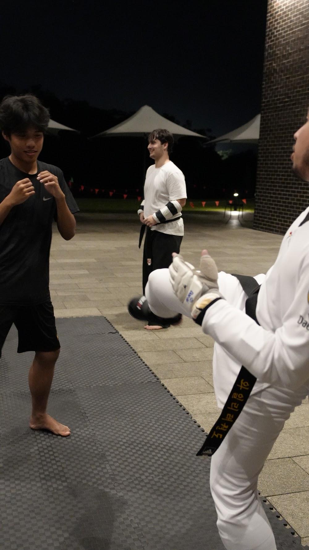TDog Taekwondo coaching G943