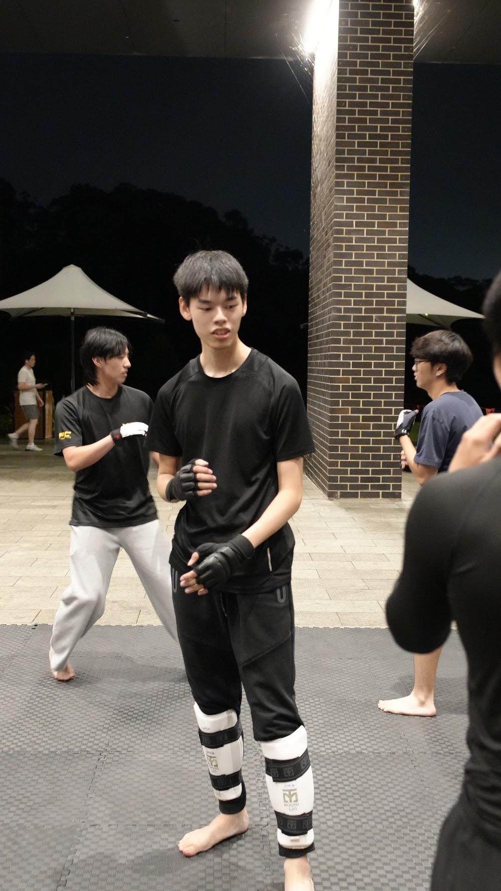 TDog Taekwondo training G946