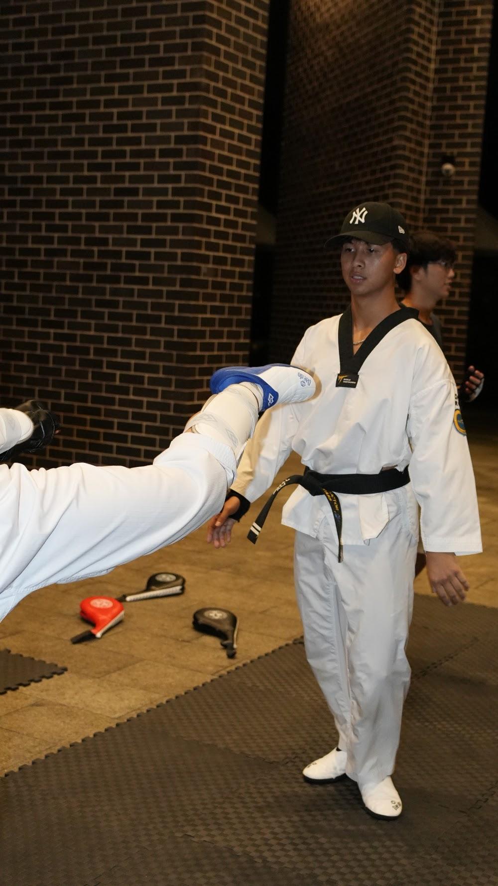 TDog Taekwondo training G948