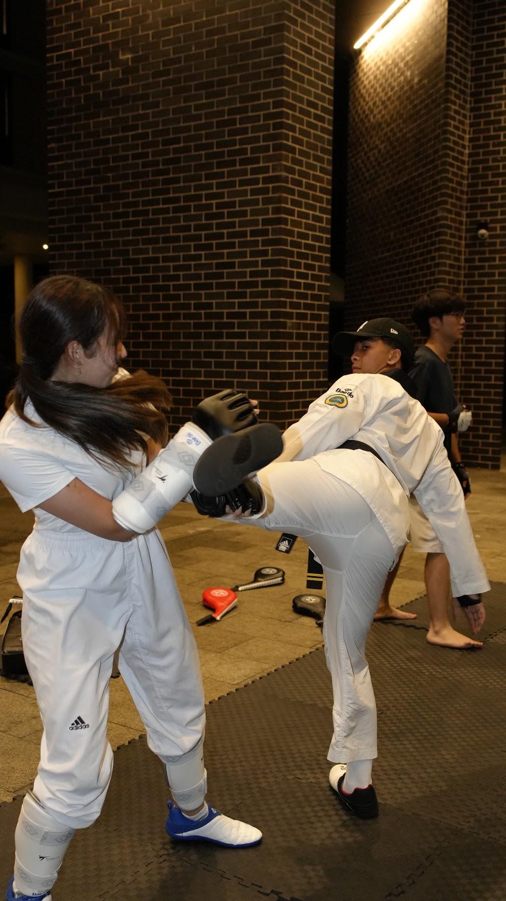 TDog Taekwondo coaching G949