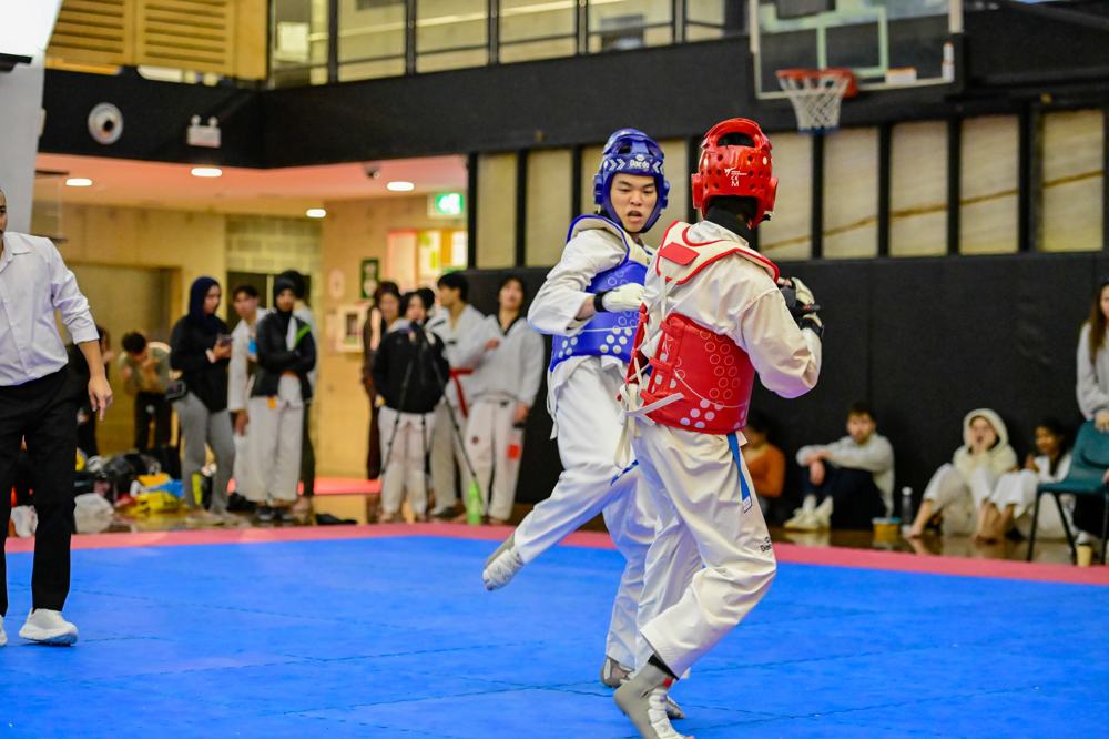 TDog Taekwondo competition G95