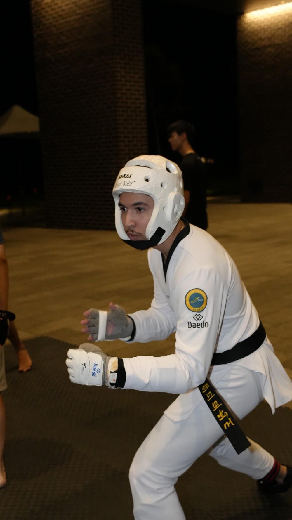 TDog Taekwondo coaching G960