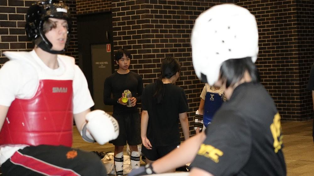 TDog Taekwondo training G963